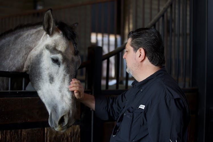 Man Patting Horse In Stable