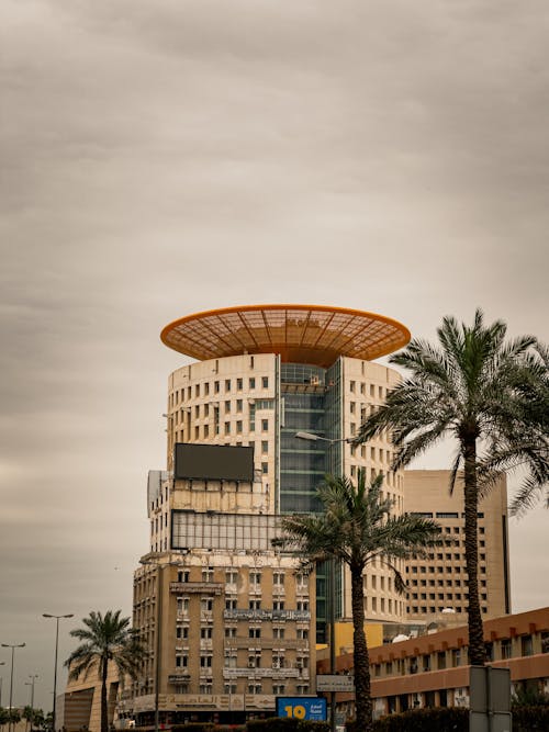 A building with a palm tree in the middle of it