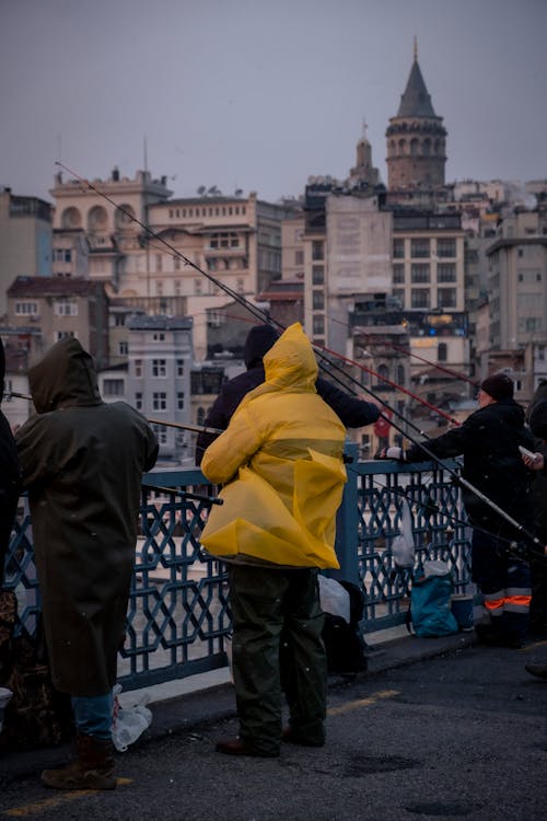 Základová fotografie zdarma na téma budovy, cestovní destinace, galata most