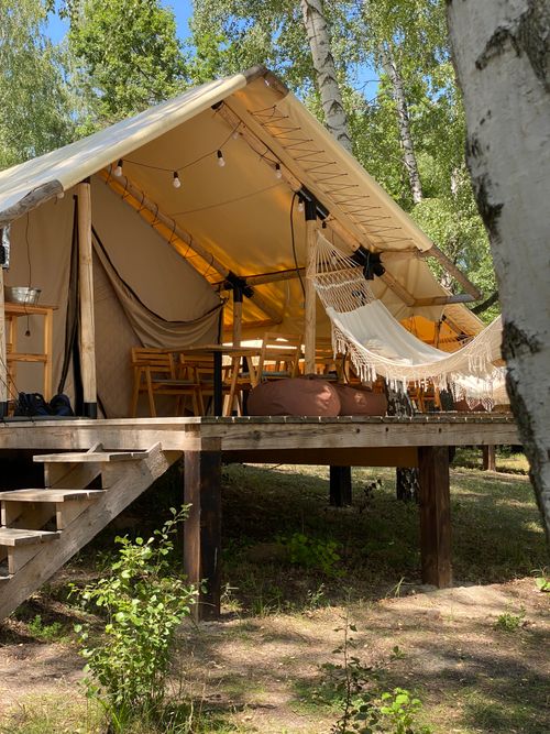 Free A serene glamping tent with hammocks, surrounded by lush forest greenery under the summer sun. Stock Photo