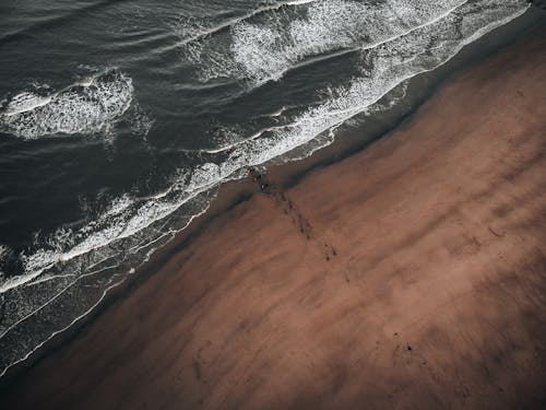 Foto profissional grátis de areia, beira-mar, borrifando