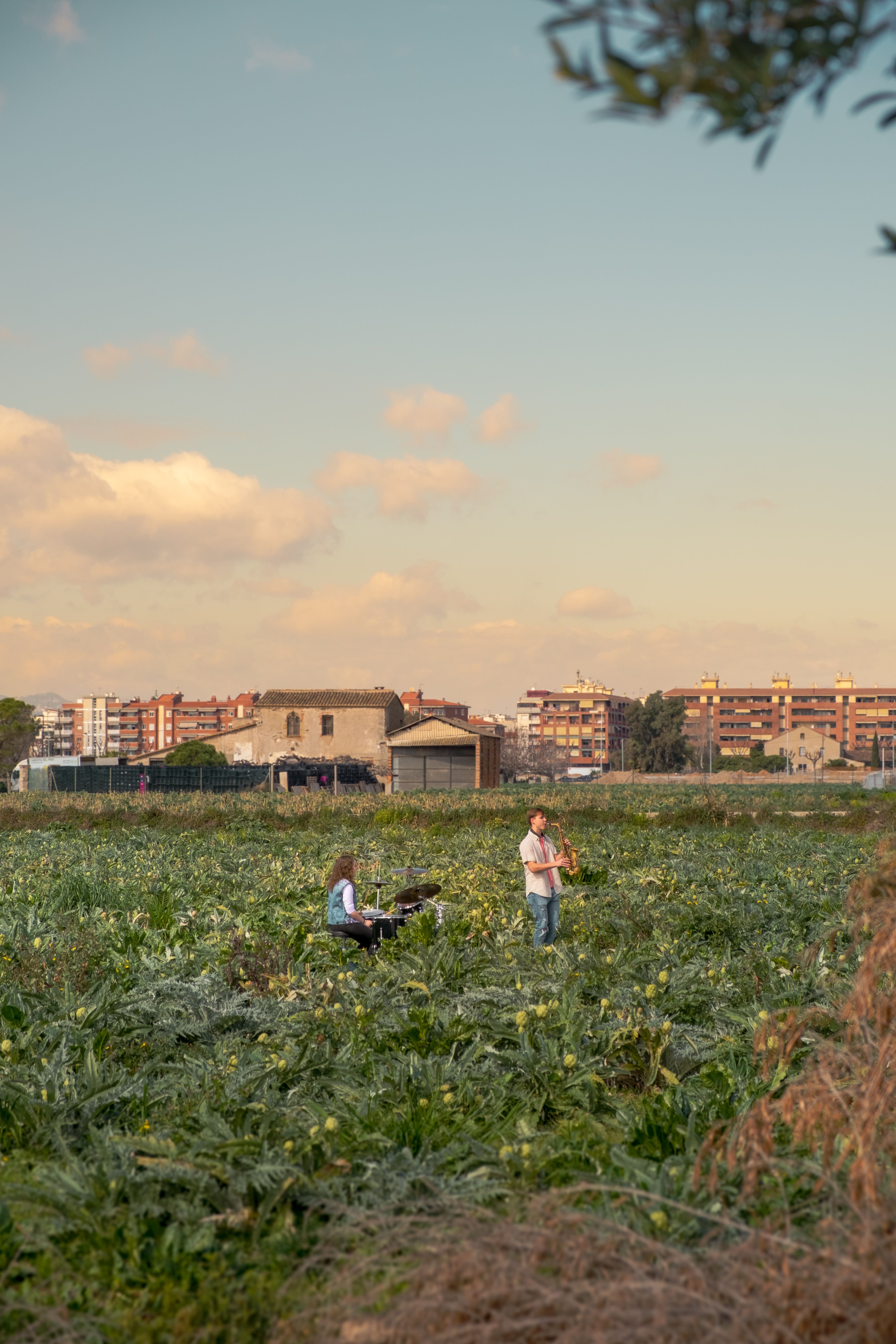 Two musicians play instruments in a green field with Spanish village in background at sunset.