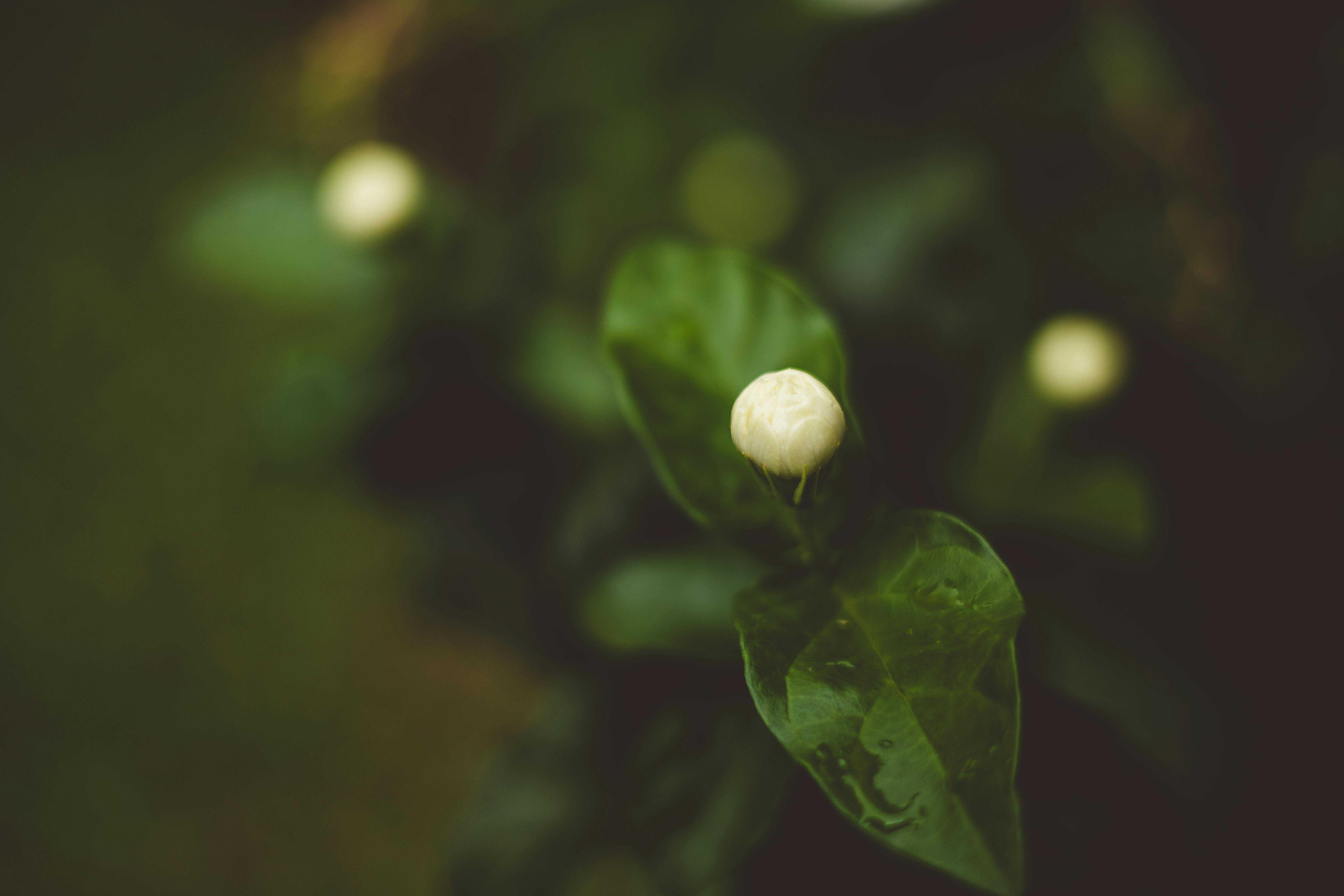 Eine luxuriöse Yacht bei Nacht in Dubai mit der hell erleuchteten Skyline im Hintergrund. Die perfekte Szenerie für eine Luxury Yacht Dubai Romantikfahrt.