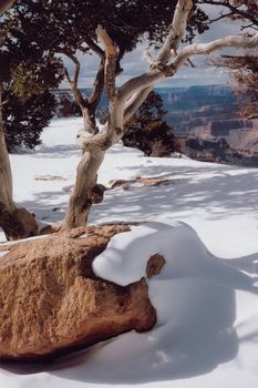 Snow-covered landscape with tree and stone, perfect for winter themes.