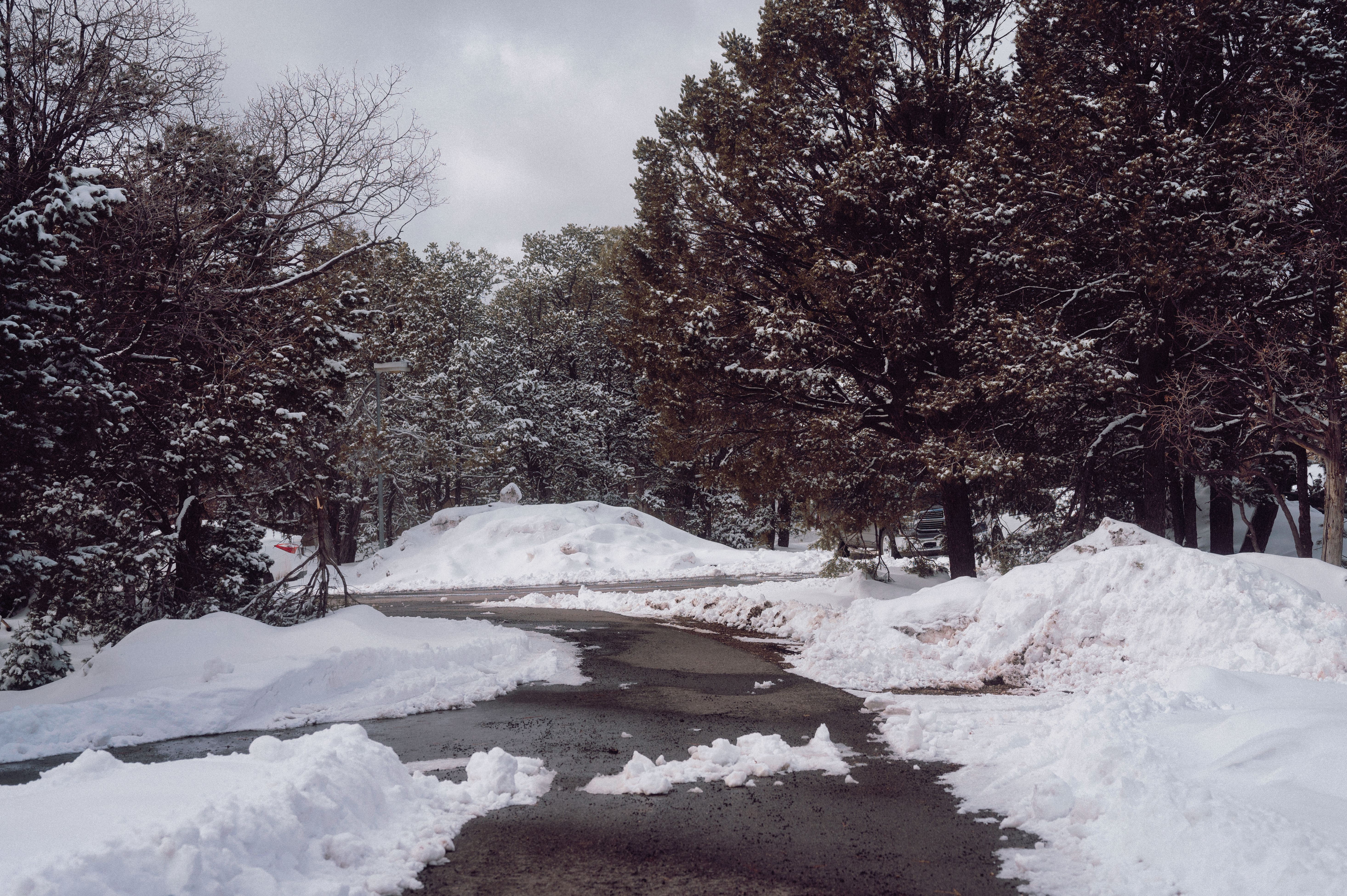 Idyllwild — Street, Idyllwild