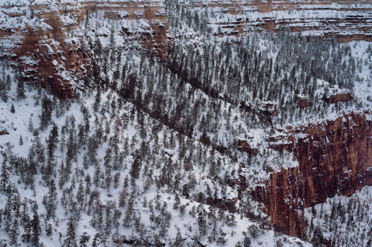 Rocks Around Forest In Winter