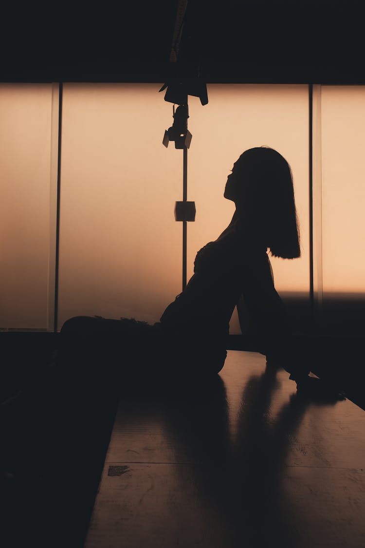 Silhouette Of Woman At Office Table