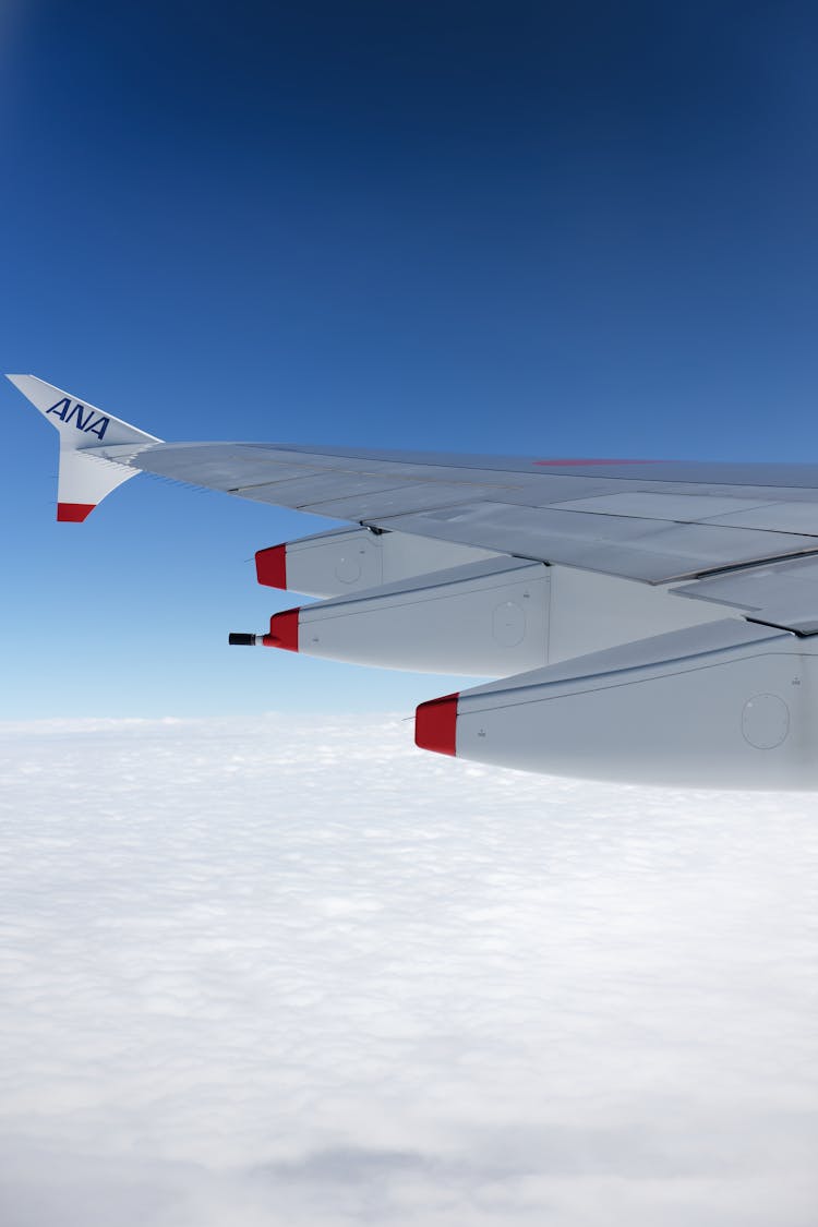 Wing Of Flying Airplane