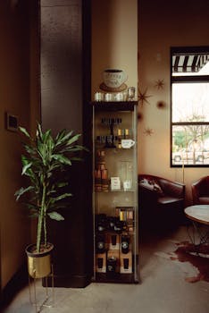 Warm café corner featuring a glass cabinet with products next to a plant and leather seating.