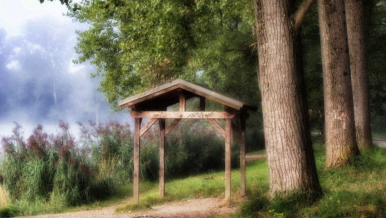 Brown Wooden Gazebo Beside Tree