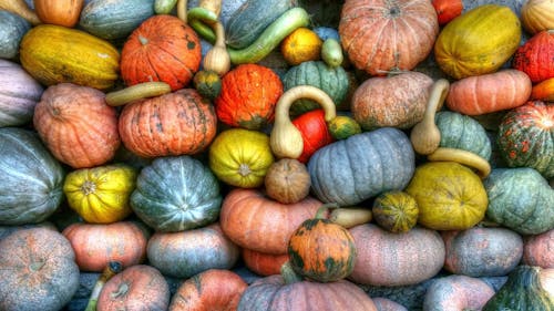 Green Orange and Yellow Pumpkins