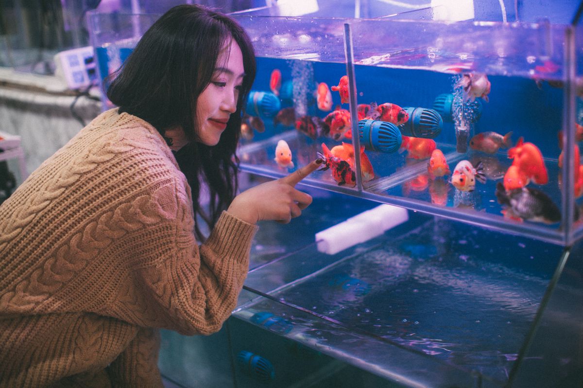 A woman looking into an aquarium in a pet shop