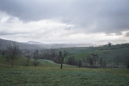 View of a Rolling Landscape 