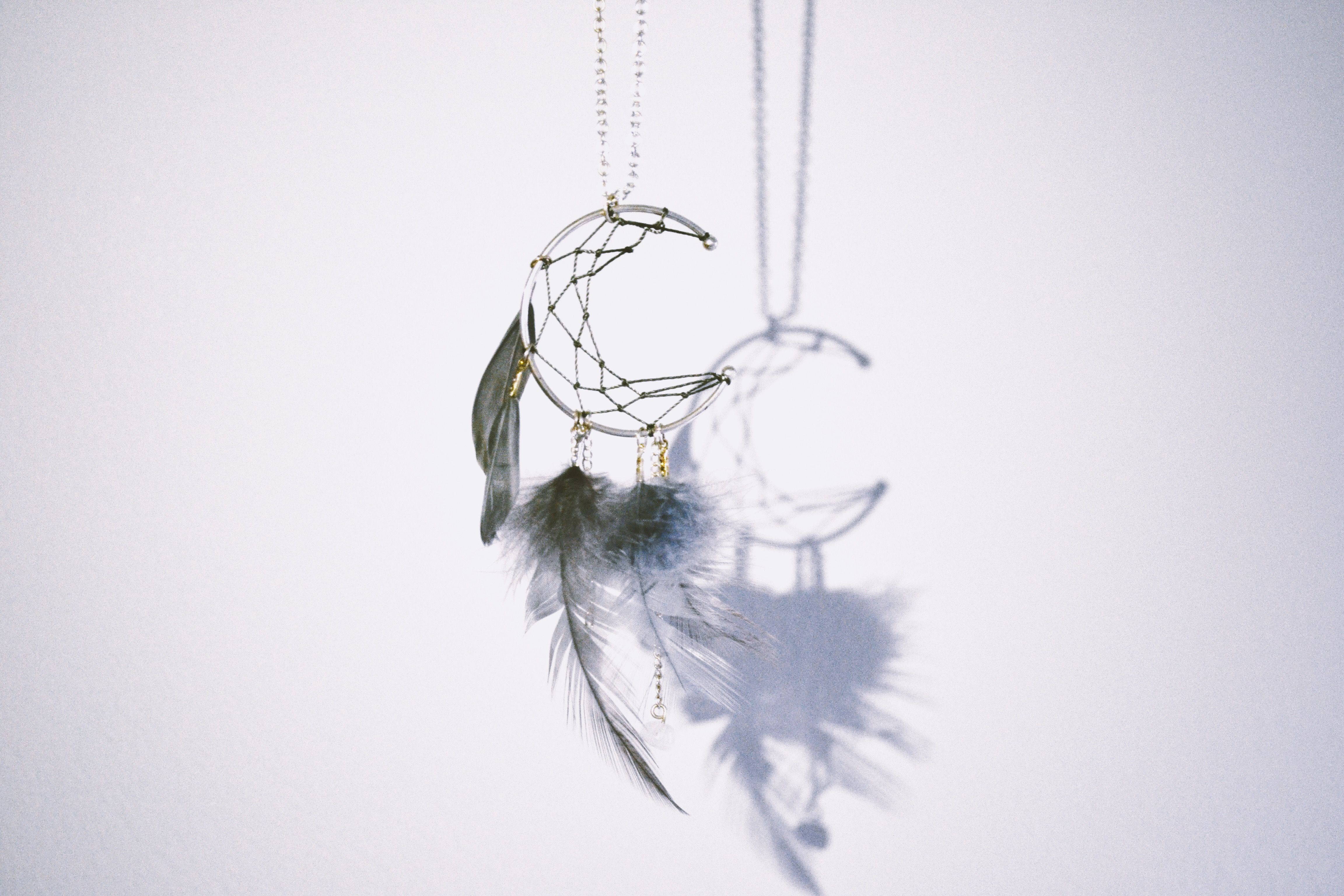 9,490+ Best Free Feathers Stock Photos &amp; Images · 100% Royalty-Free HD ...