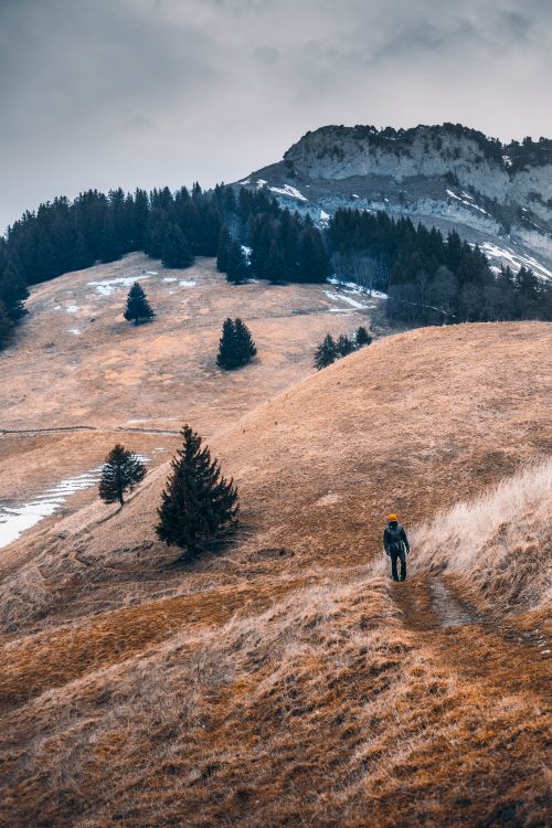 Free A lone hiker explores a rugged mountain trail surrounded by autumnal landscape and rocky peaks. Stock Photo
