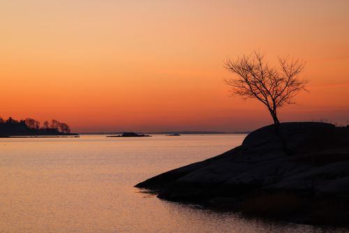 Free A tranquil coastal sunset featuring a lone tree silhouette against a vibrant orange sky. Stock Photo