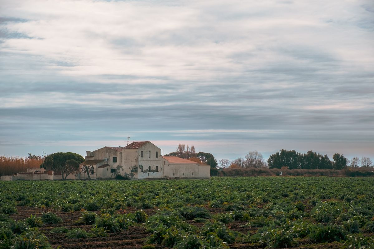 Masías en el campo catalán