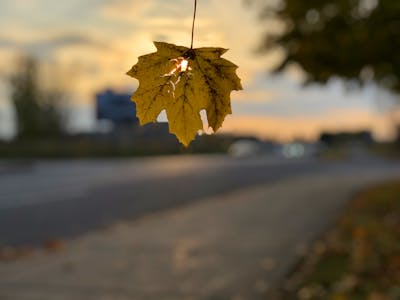 白马啸西风经典语录 白马啸西风经典段落