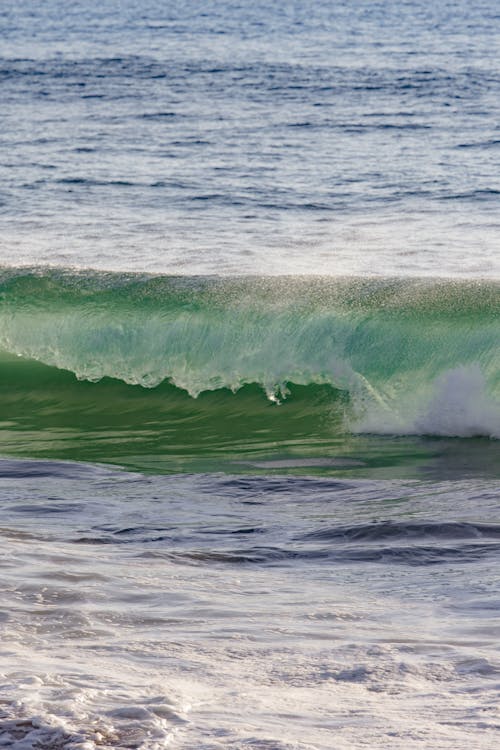 Foto profissional grátis de fluido, mar, maré