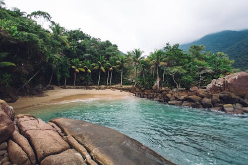 ada, deniz, egzotik içeren Ücretsiz stok fotoğraf