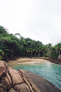Serene tropical cove in Brazil featuring lush greenery and palm-lined beach.