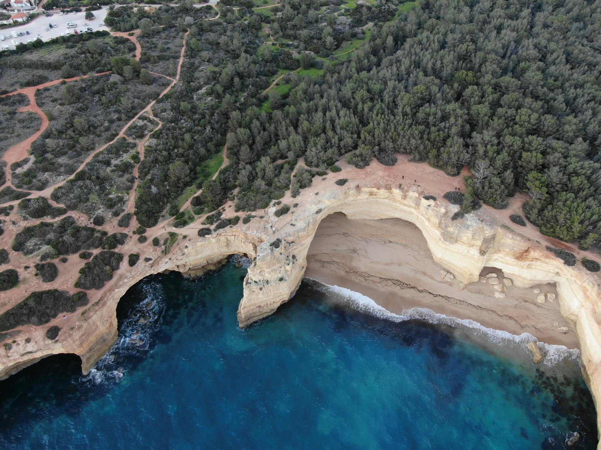 What Wildlife Can You Spot Around Hellnar’s Shores