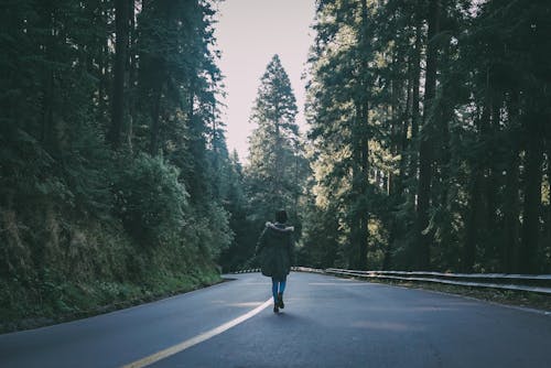 Woman Wearing Black Parka Jacket Walking on Black Concrete Road Surrounded by Trees