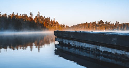 Body of Water Surrounded by Brown Leaf Trees