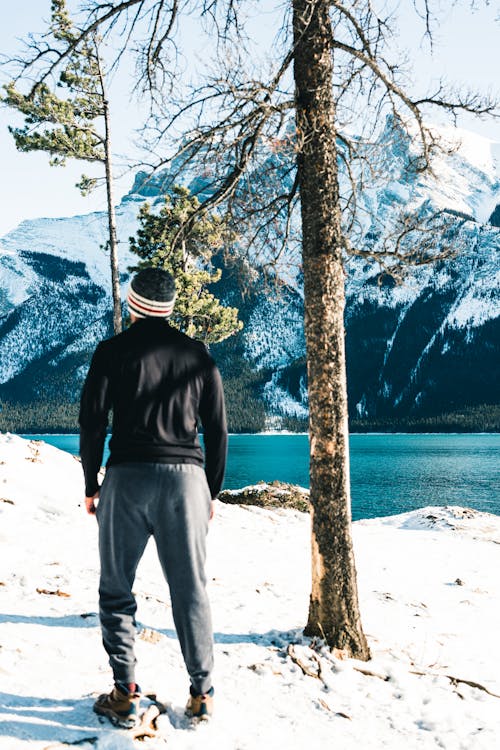 Man near Tree in Snow