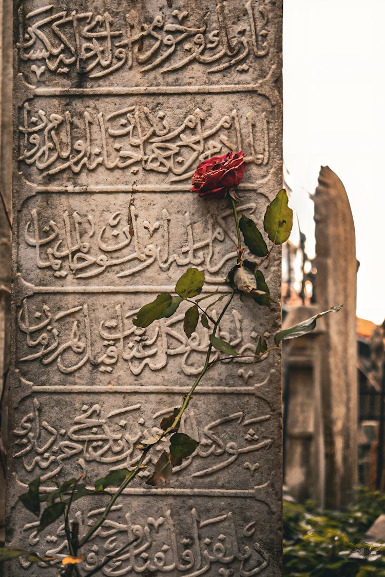 Arabic Writing And Flower On Grave