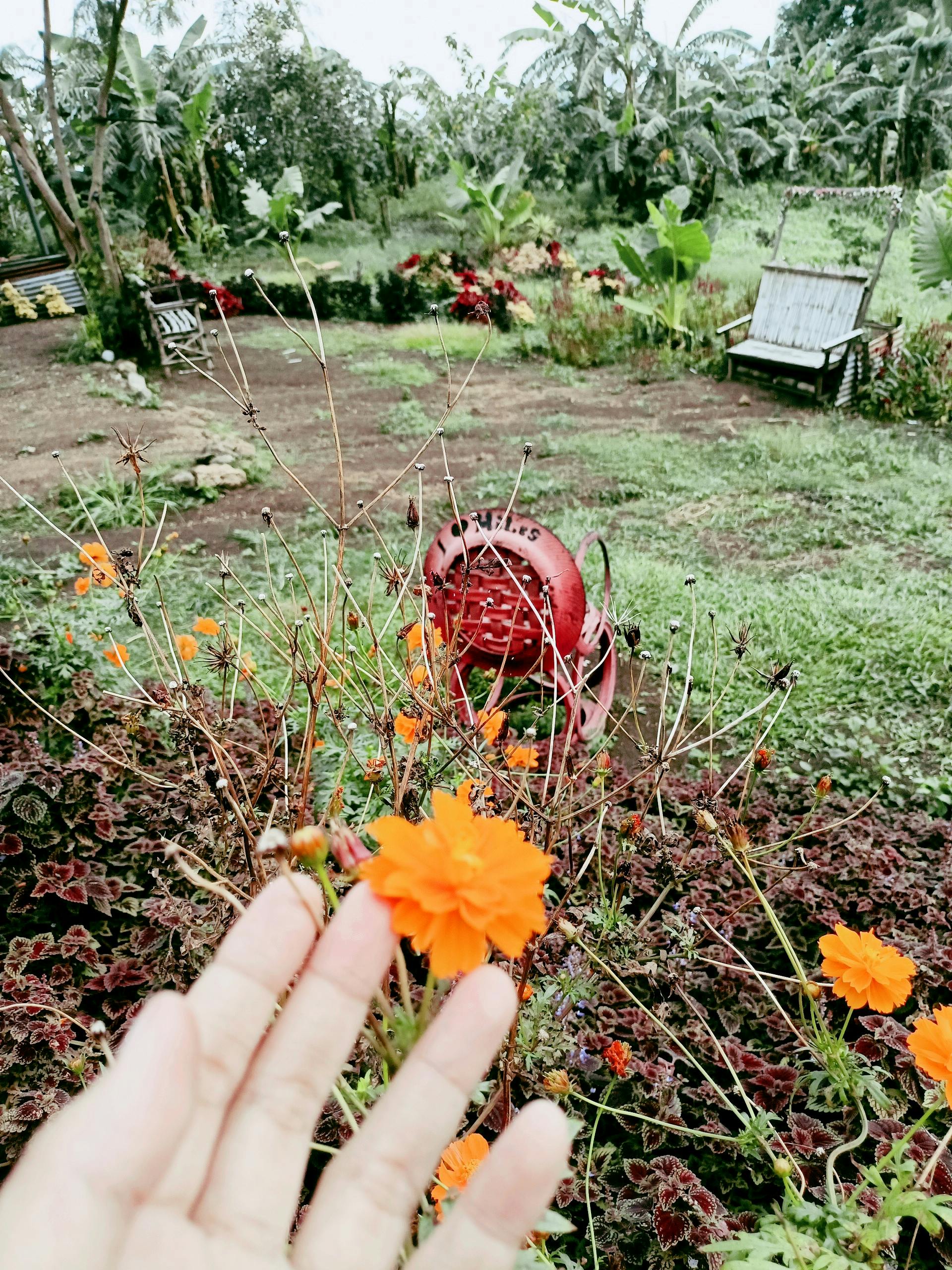 Pitchie Pitchie Fotografie