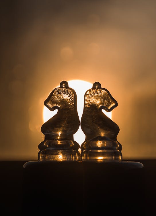 Two Chess Knights Pieces · Free Stock Photo