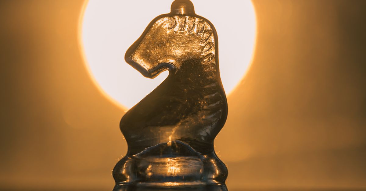 Close-up of the Knight Chess Piece · Free Stock Photo