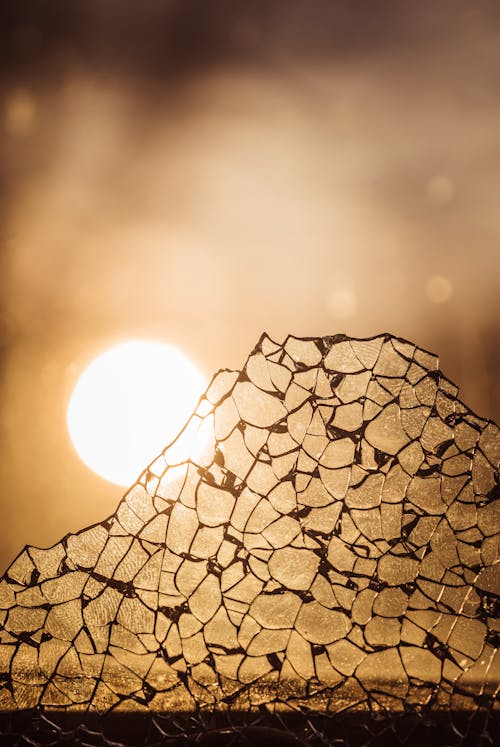 Fotobanka s bezplatnými fotkami na tému okná, okno, ostrý