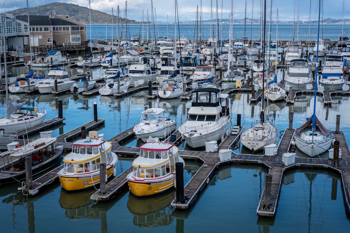 Motorboats Moored in Marina