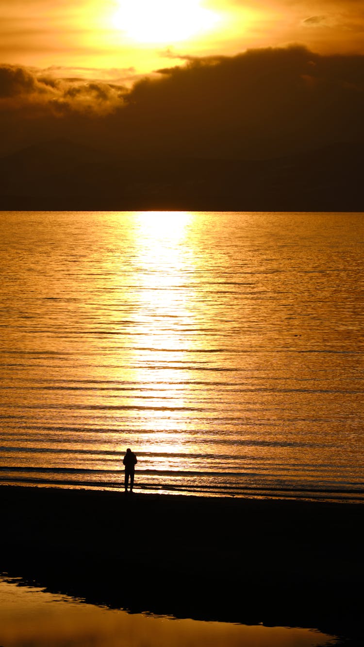 Silhouette Of A Person Standing On A Beach At Sunset