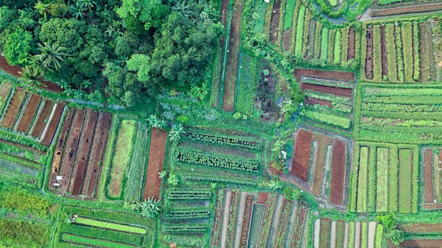 Aerial view of lush, diverse crops and greenery in Cisauk, Indonesia.