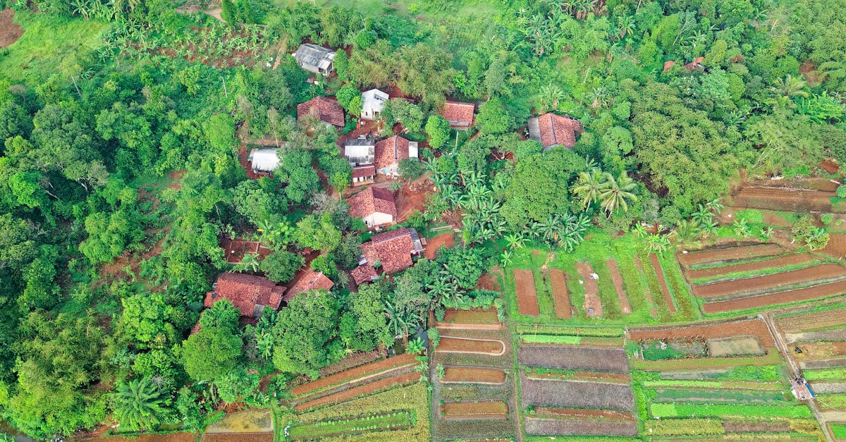 六堆客庄田間樂:駐村小隊體驗農村生活的樂趣