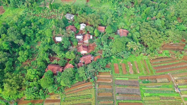 Aerial view of tropical farmland and village in Cisauk, Indonesia, showcasing lush greenery.