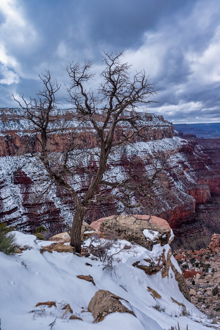 The Grand Canyon In Snow 