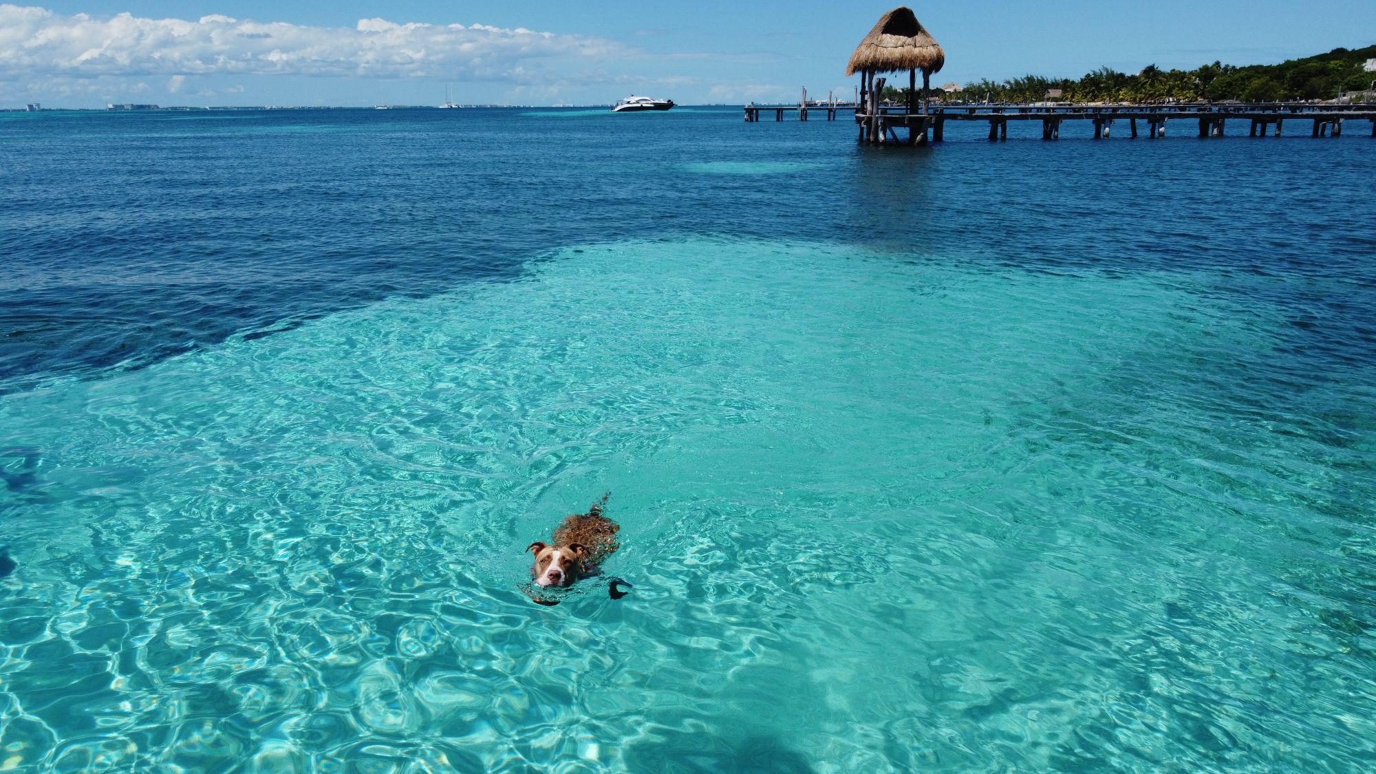 Isla Mujeres