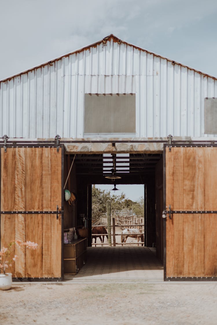 Wooden Barn Door