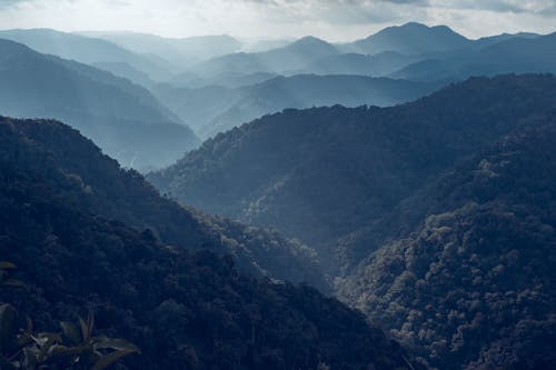 Foto profissional grátis de aerofotografia, cênico, colinas