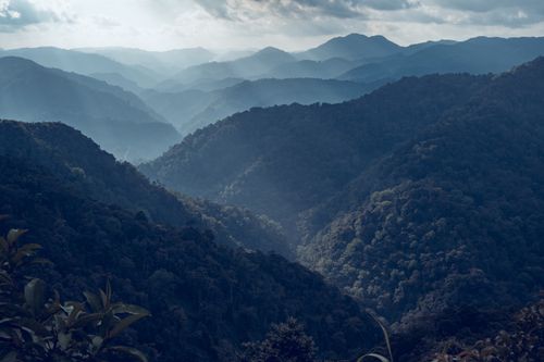 Free A breathtaking aerial view of misty mountains and forest with sun rays breaking through. Stock Photo