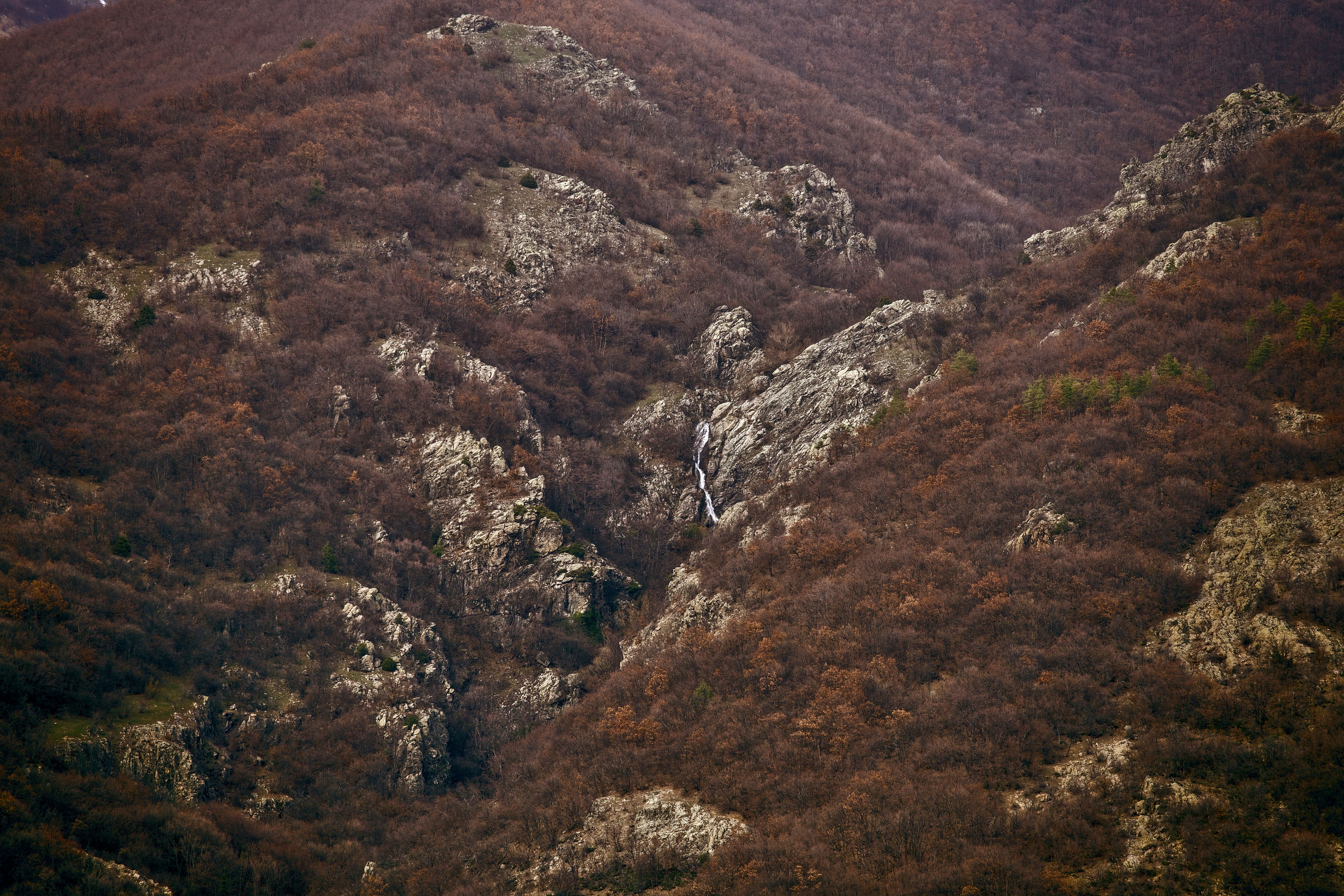 Rocks and Forest · Free Stock Photo