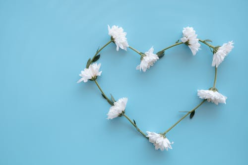A Heart Shape Made from White Flowers
