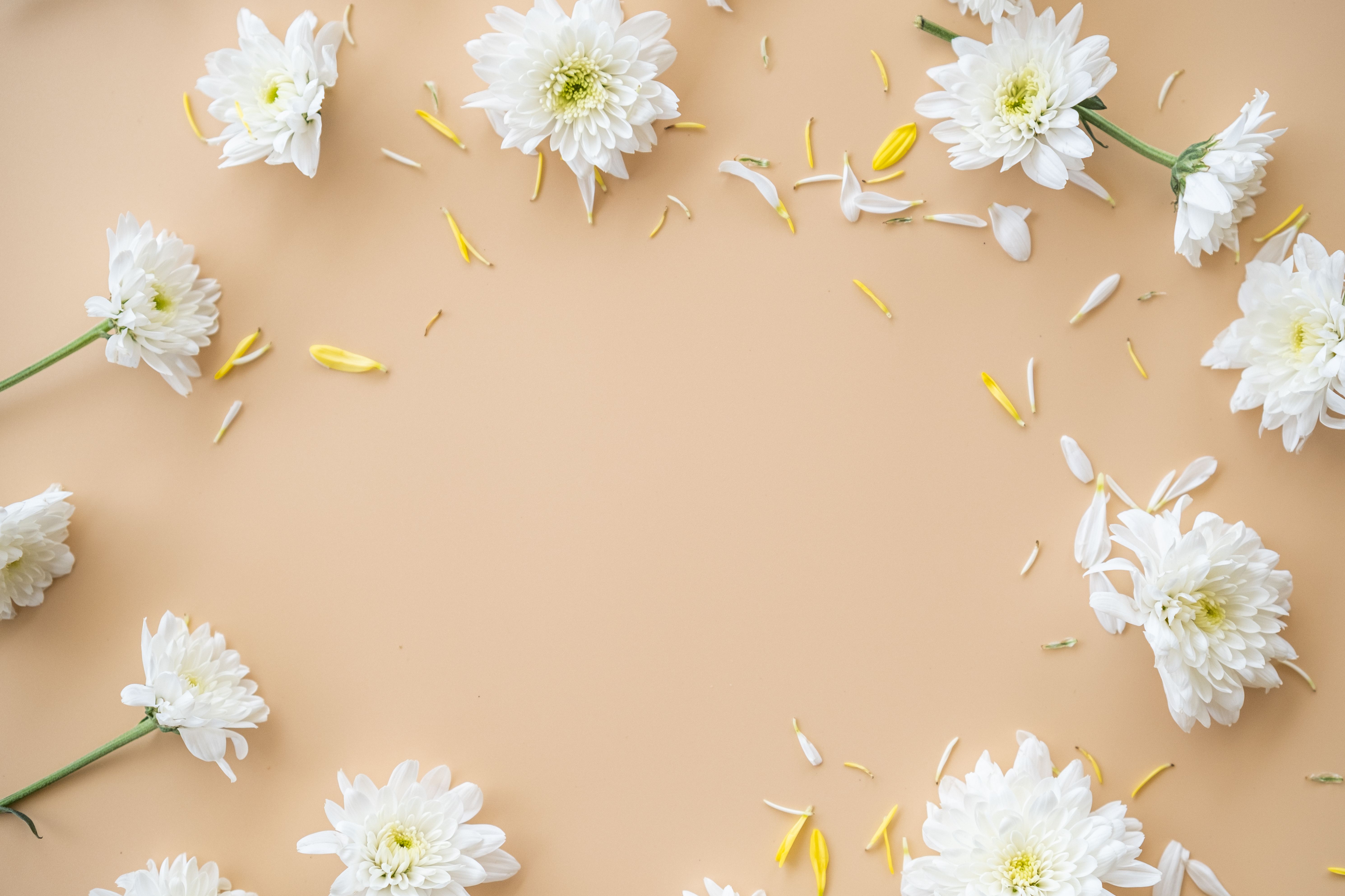 Elegant arrangement of white flowers and petals on a neutral background with ample copy space.