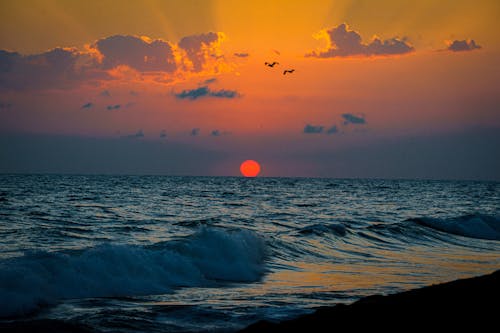 Scenic Seascape at Sunset 