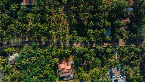 Free Drone shot of a lush tropical village in Chakkittapara, Kerala, India. Stock Photo