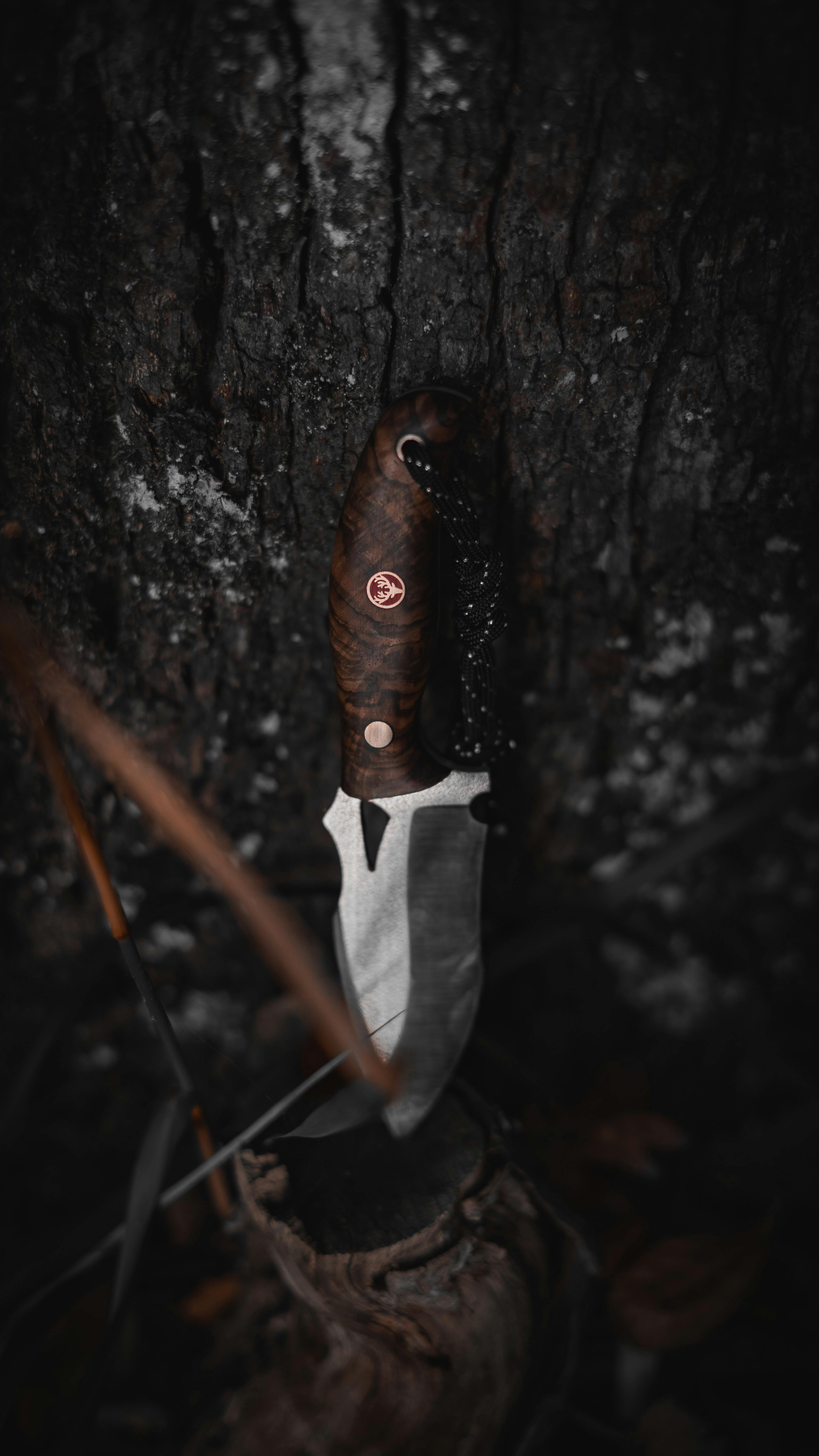 Close-up of a rustic knife with ornate handle embedded in tree bark, forest setting, Bolu.